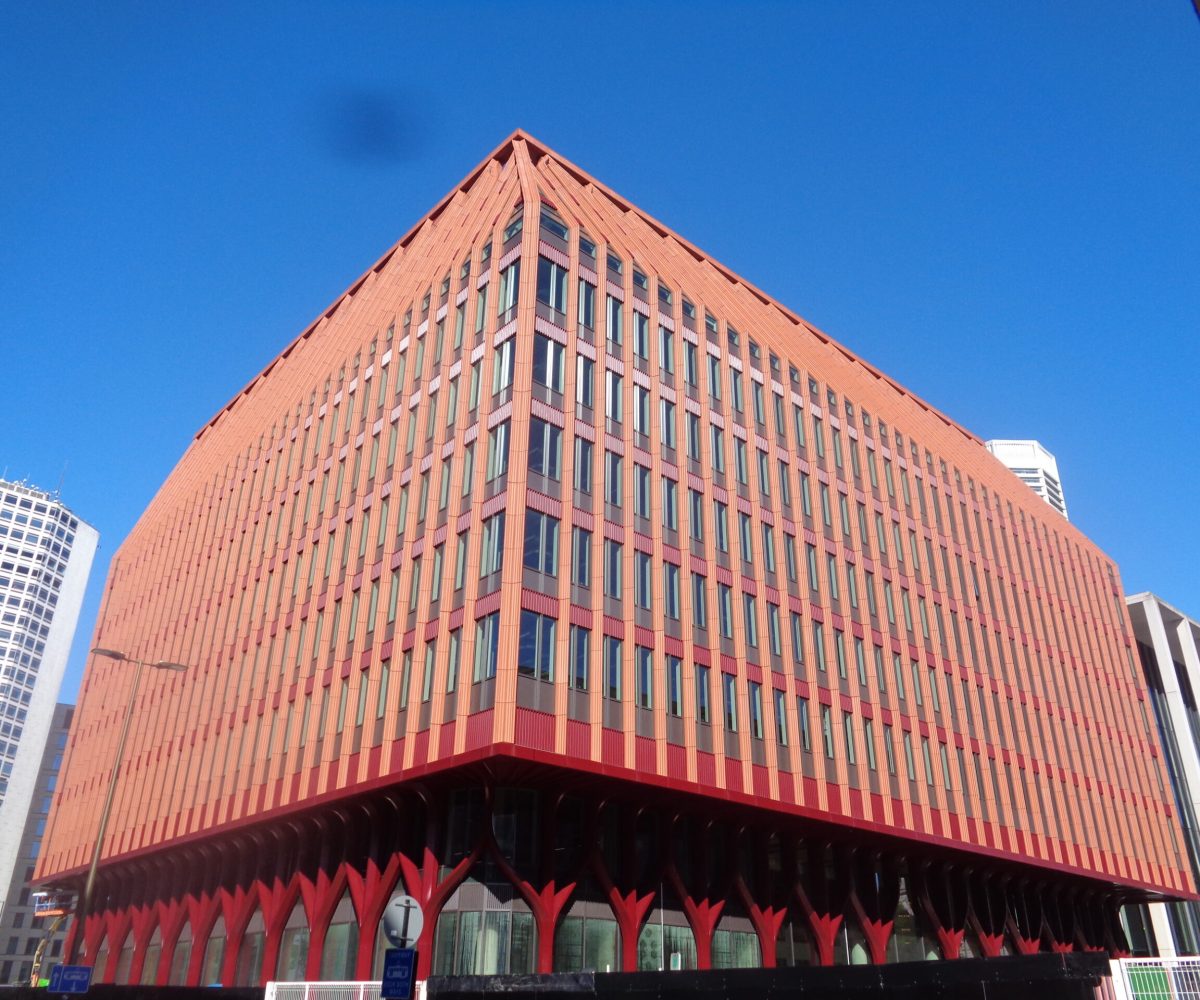 DSC09575